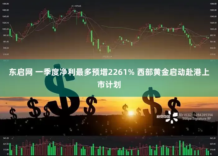 东启网 一季度净利最多预增2261% 西部黄金启动赴港上市计划